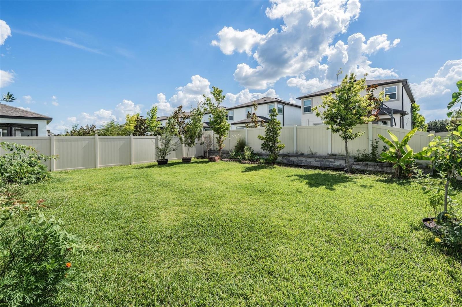 Fully Fenced Backyard