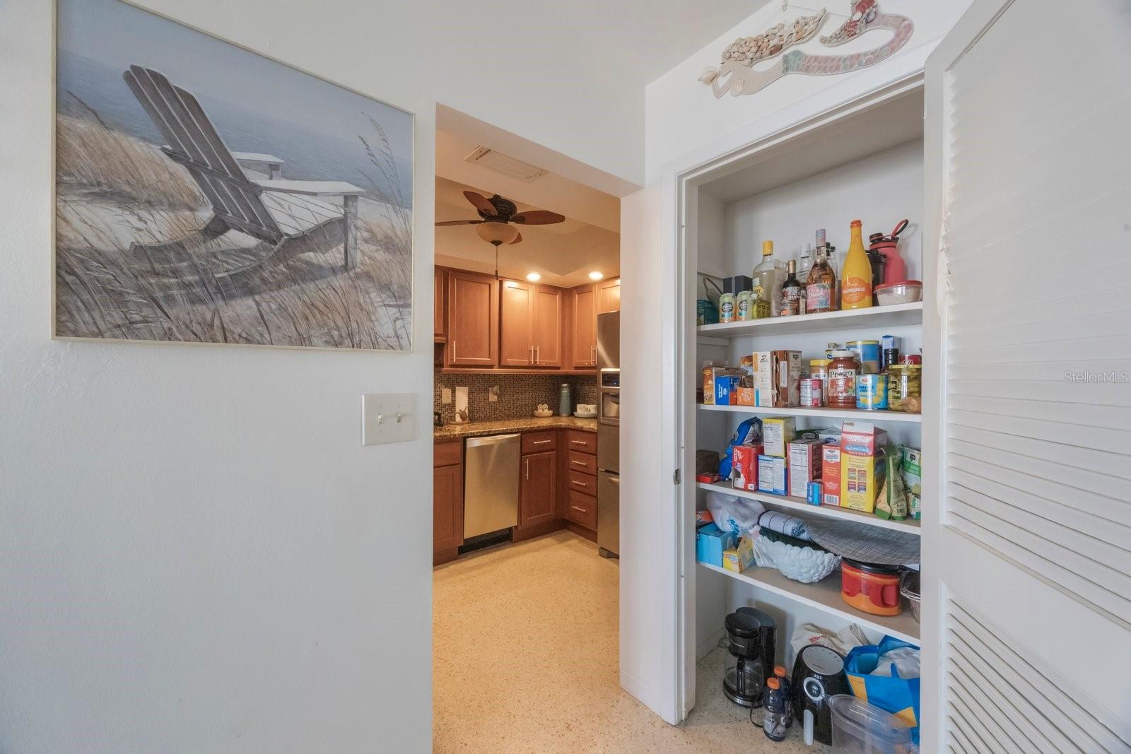 Large Pantry by Kitchen with lots of Storage