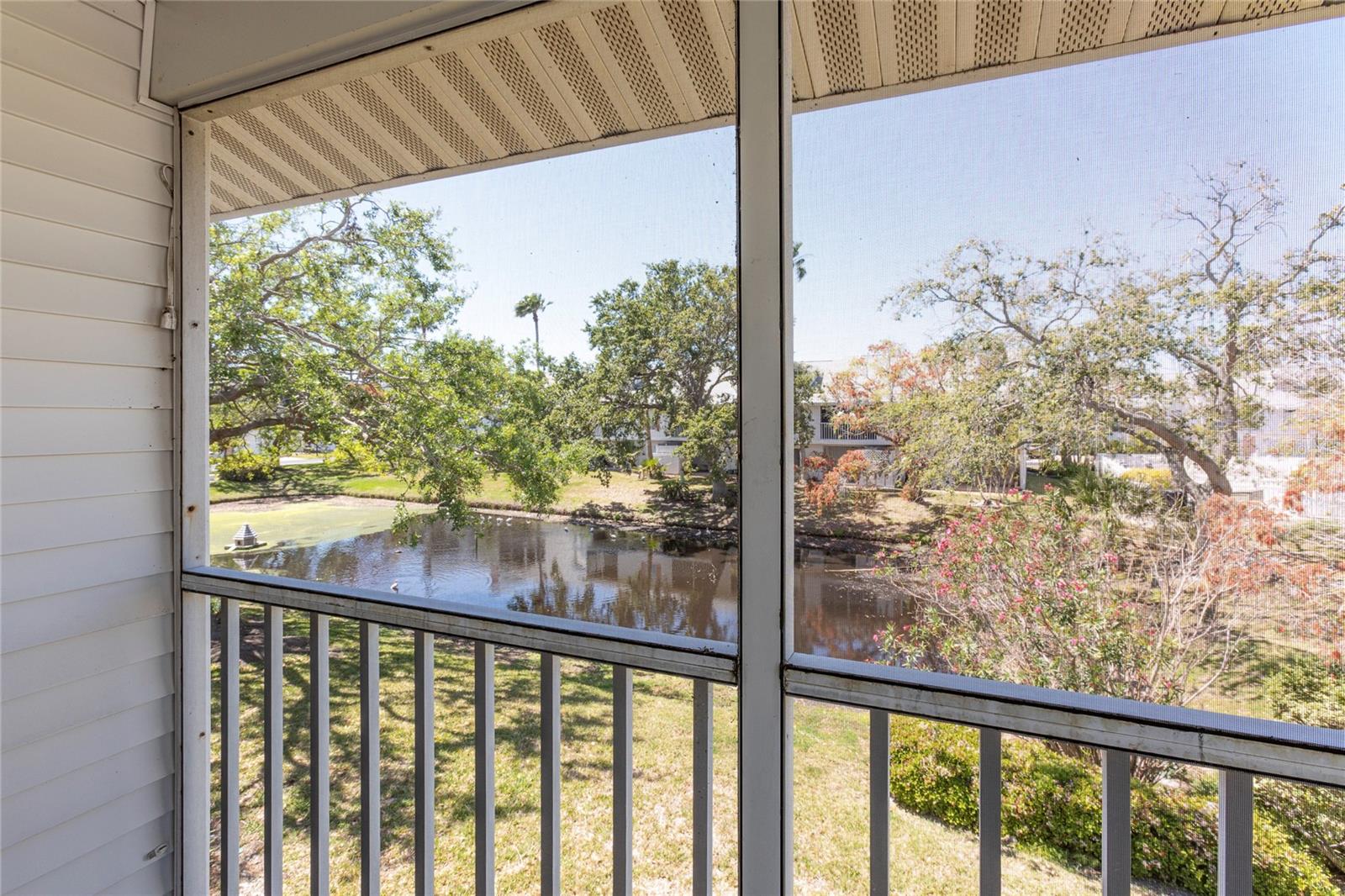 View of the pond from screened in porch