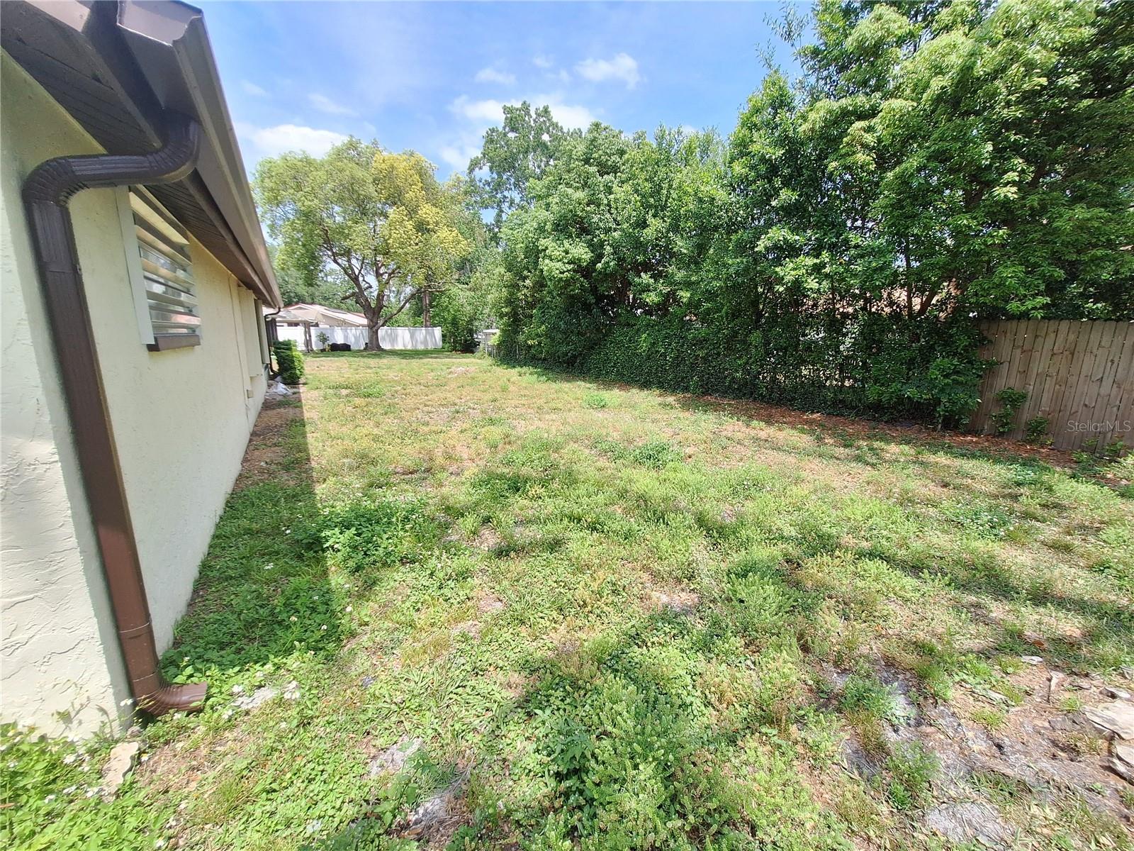 Spacious back yard with Room for a Pool