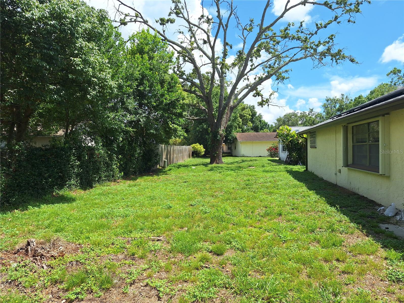 Easy to maintain lawn