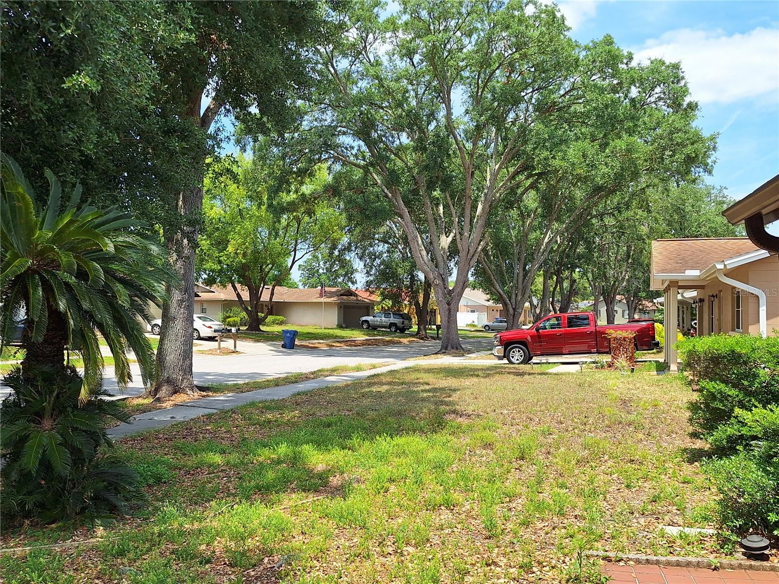 Front Yard