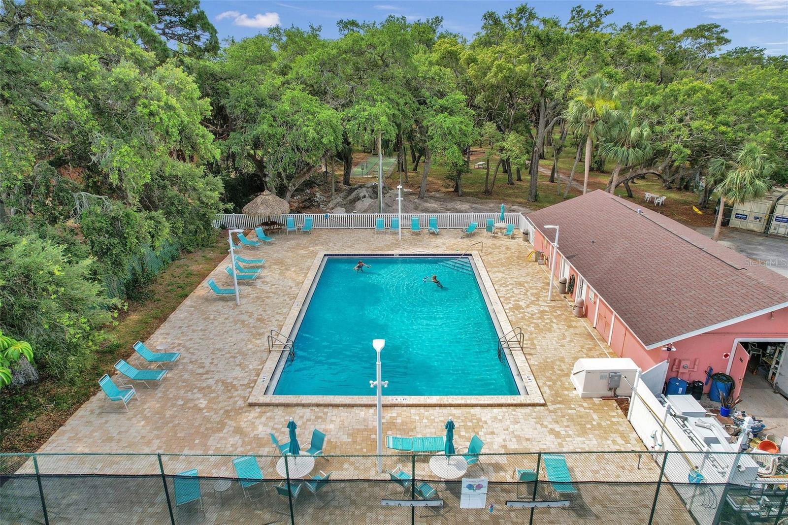Lap/Family pool