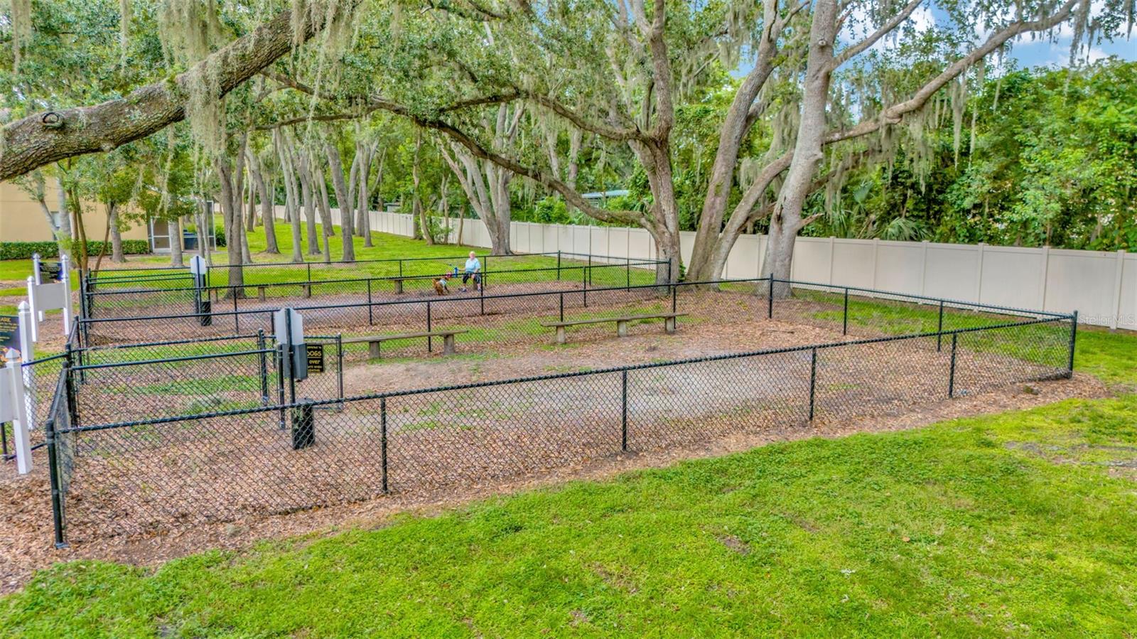 Dog park