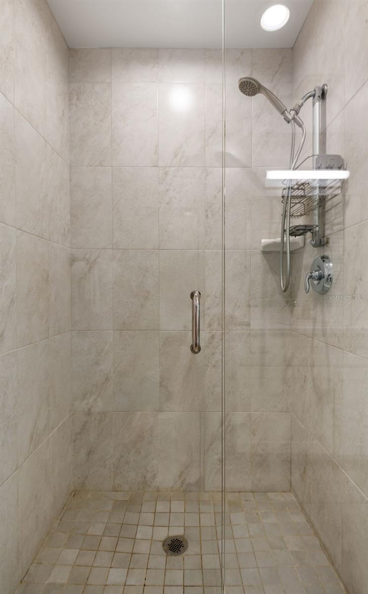 Primary Shower