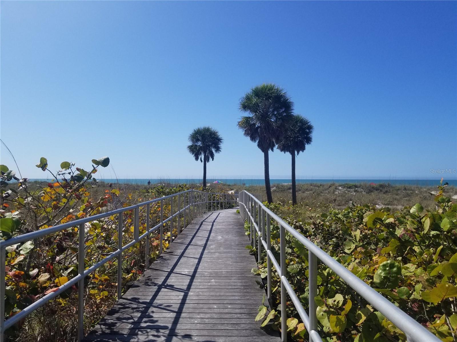 Crosswalk to the Beach