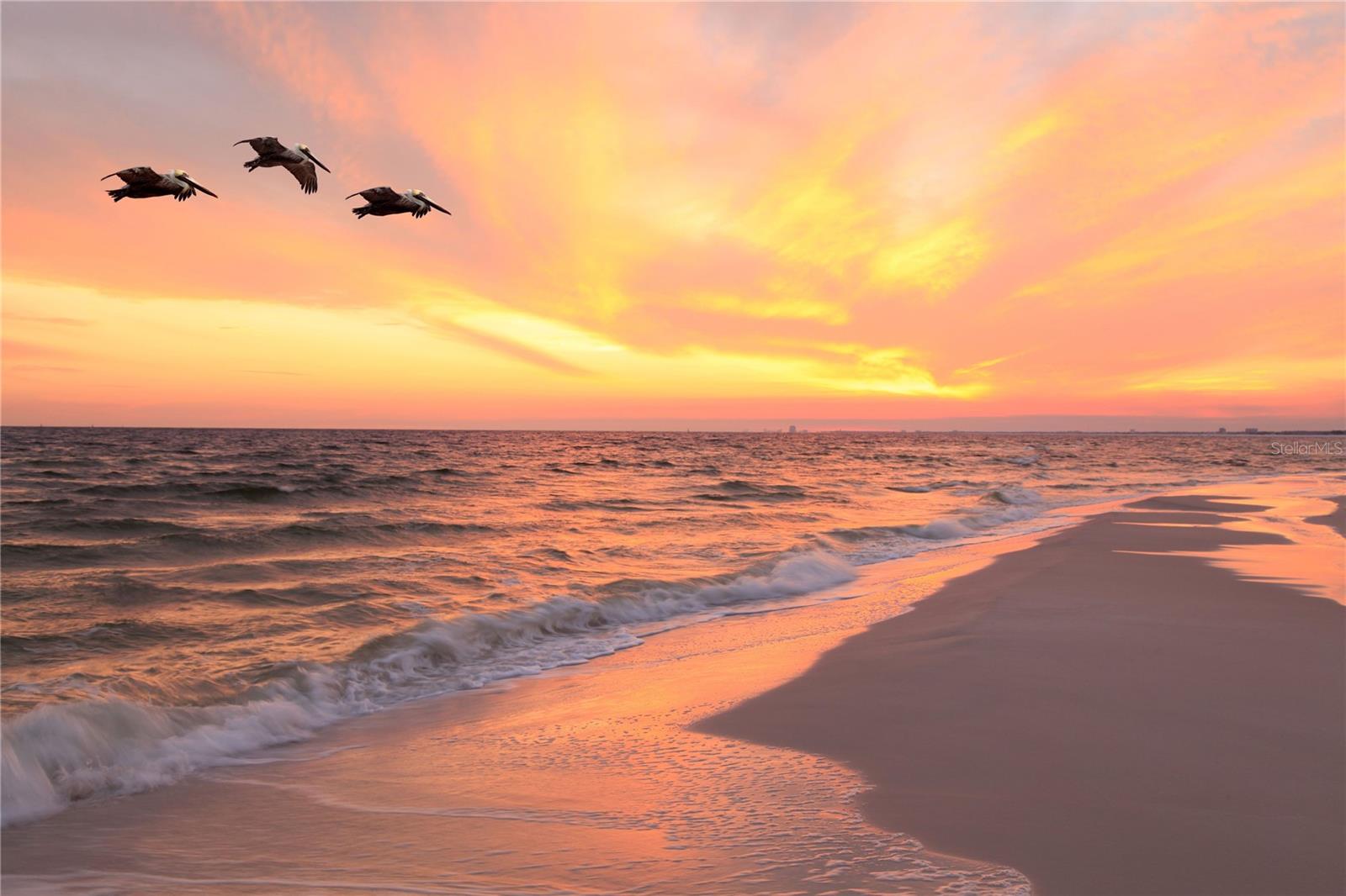 Madeira Beach Sunsets