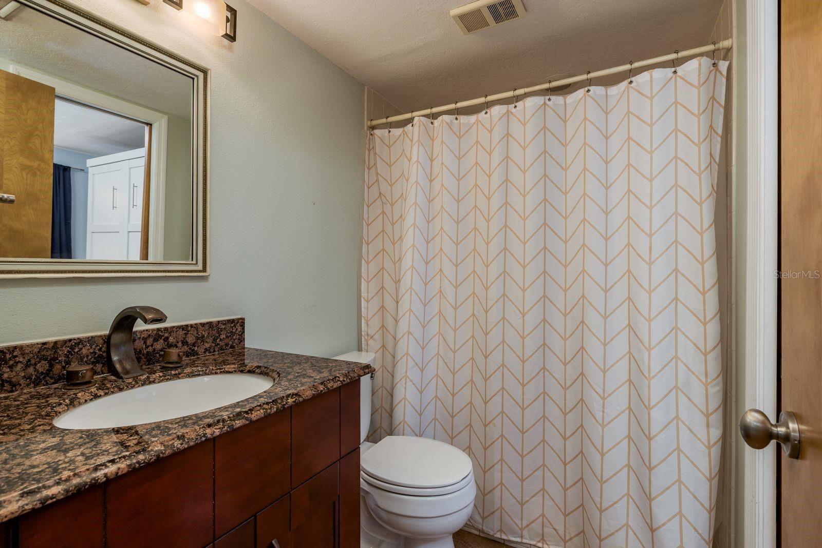 Lower level Full bath