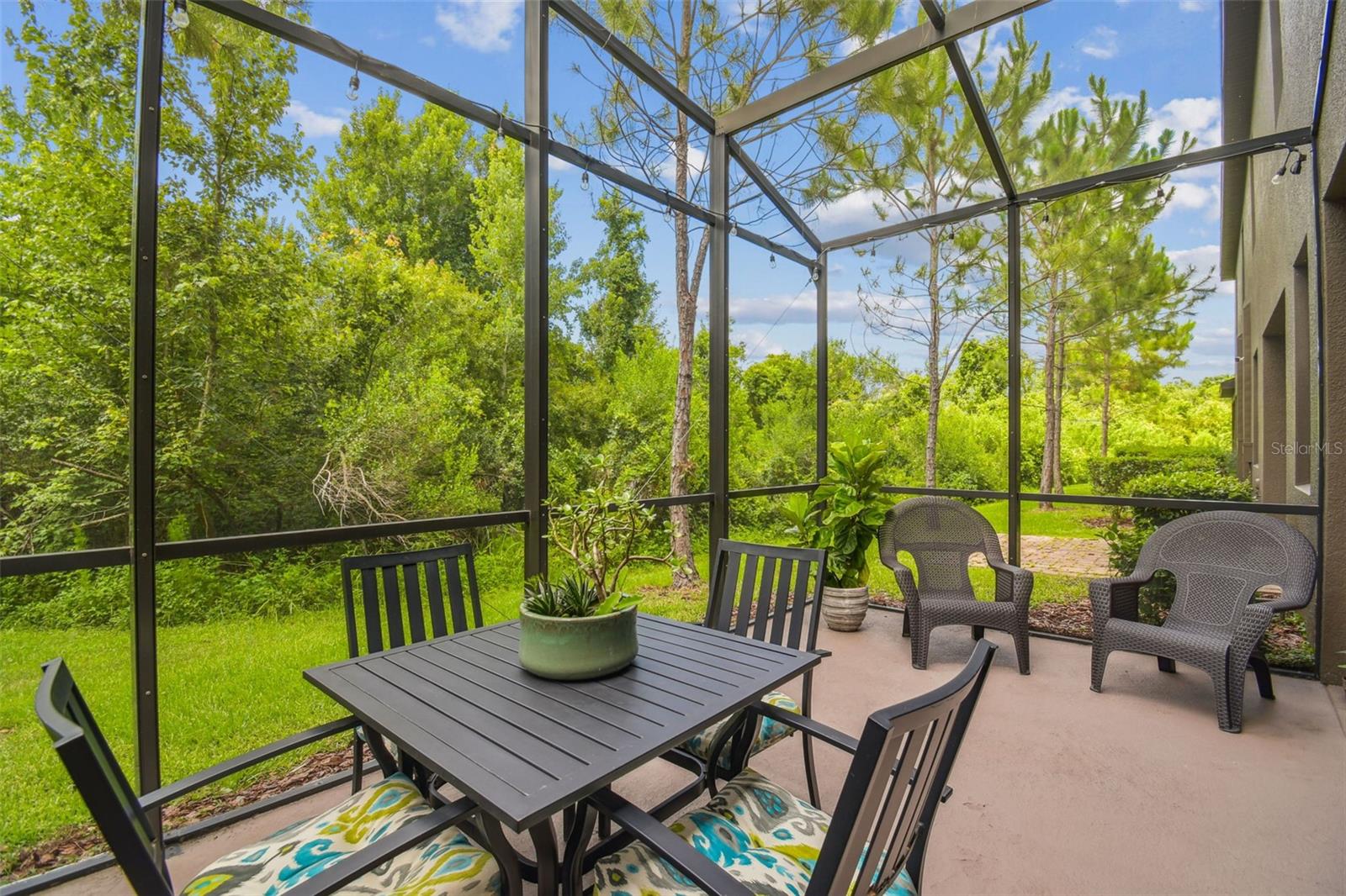 CONSERVATON VIEWS