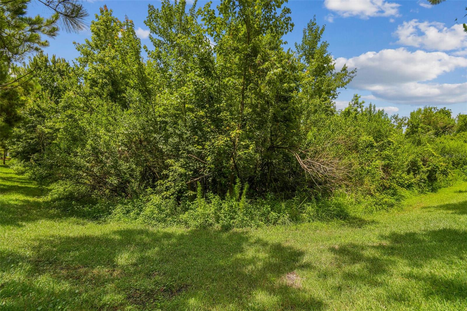 PRIVATE CONSERVATION VIEWS