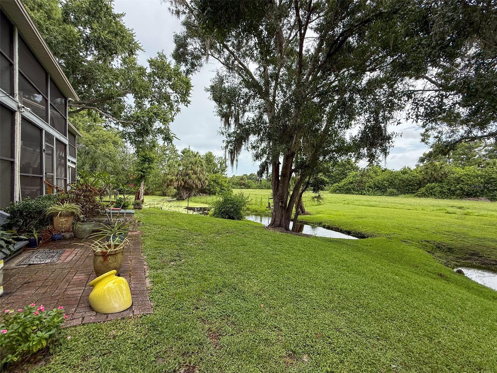 Backyard