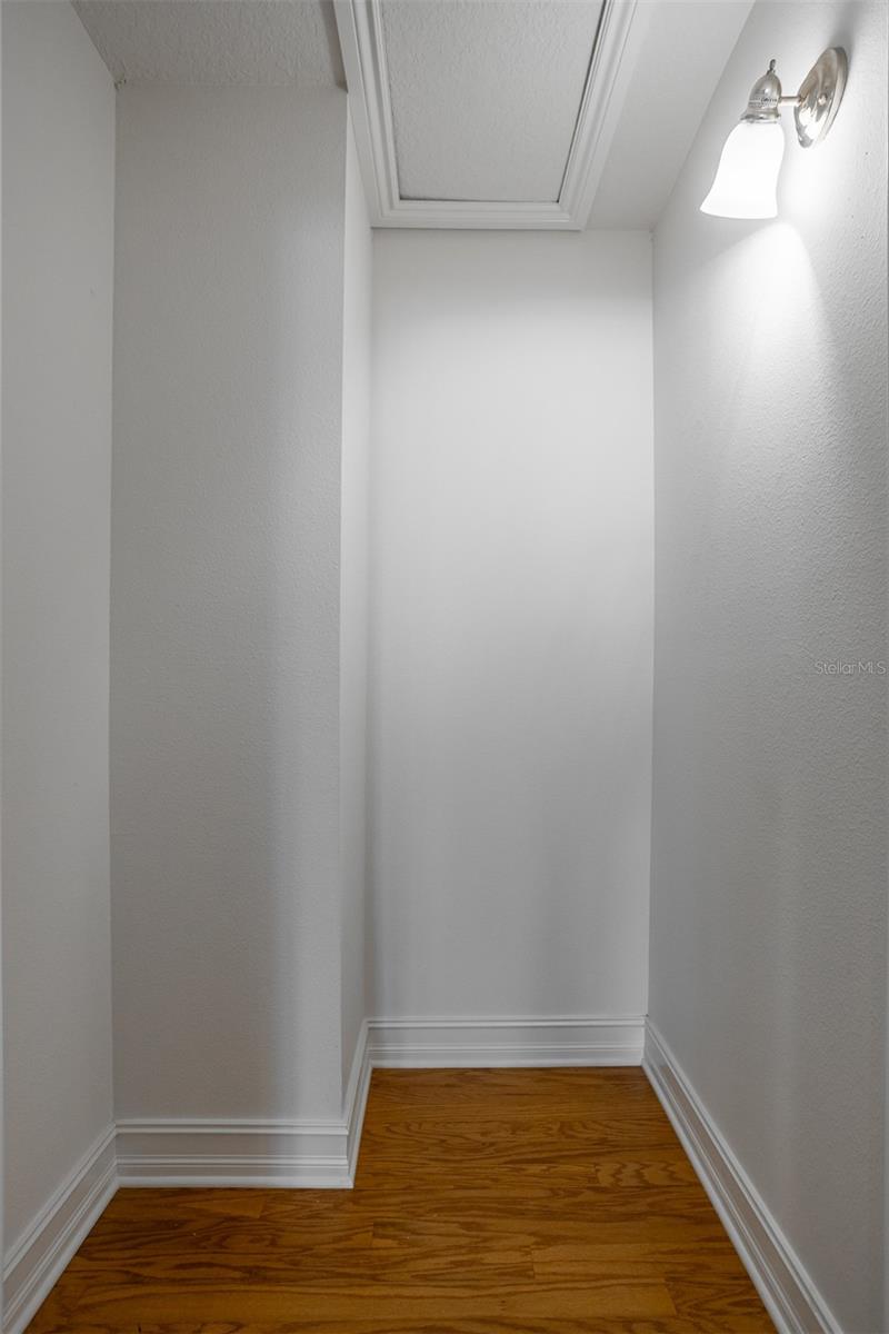 Spacious Storage closet with attic access