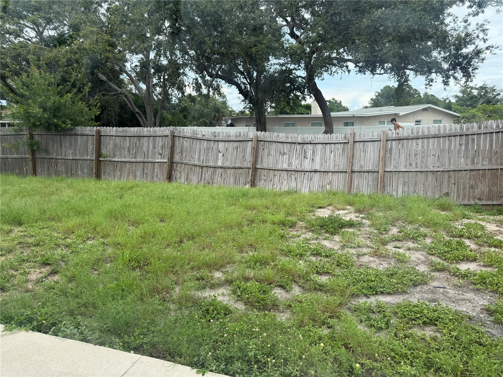 Back yard