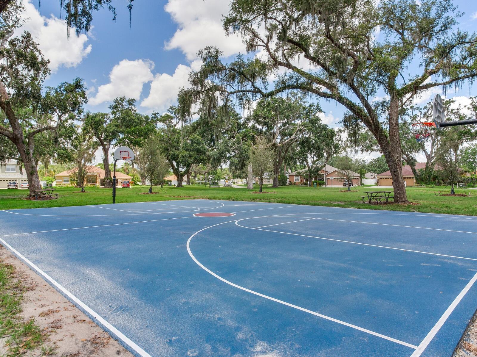 Basketball