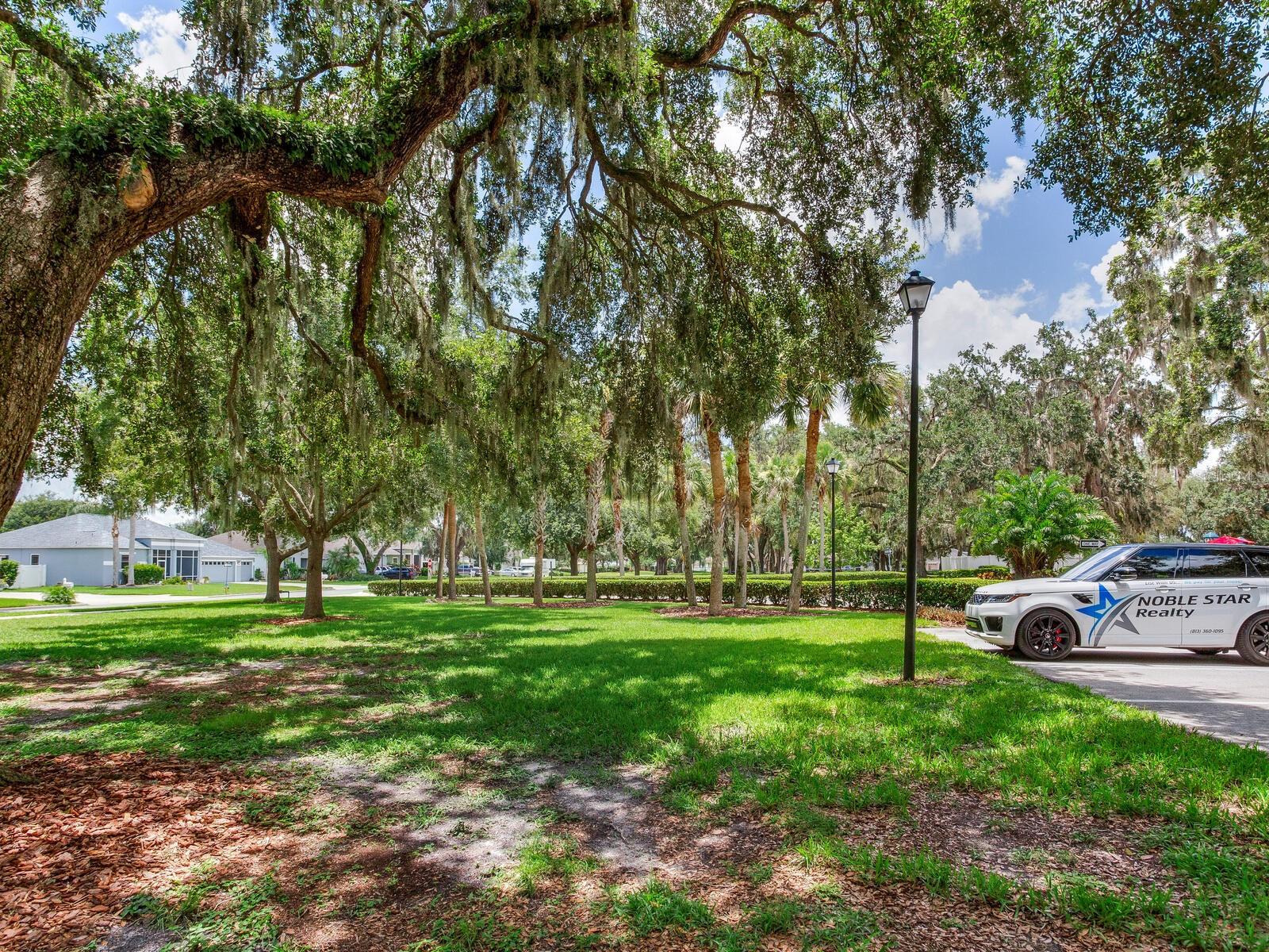 Community Park / Mature Trees