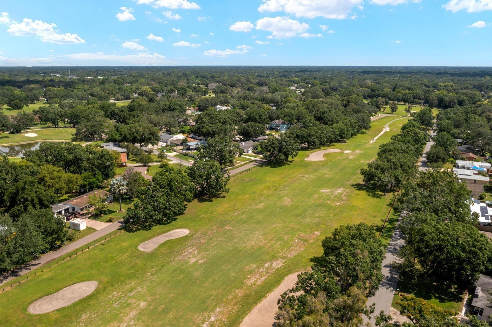 Golf View