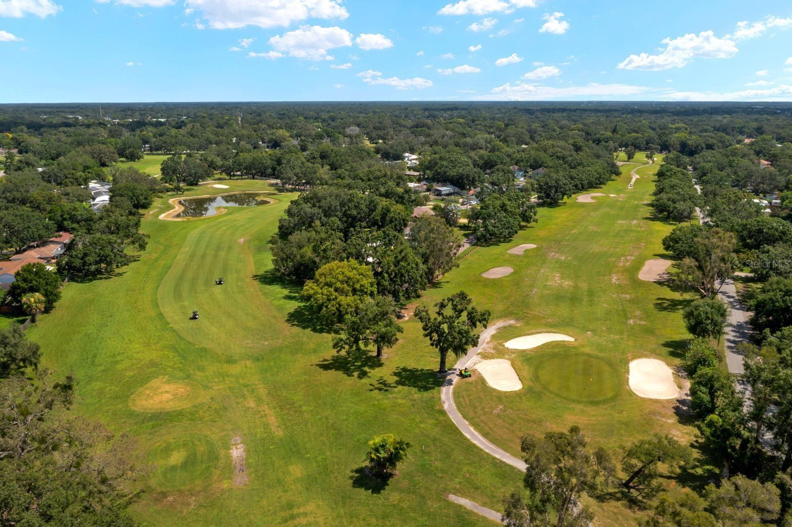 Golf View