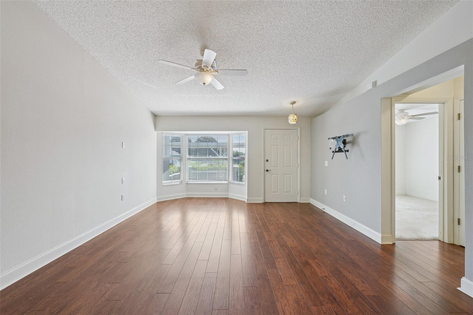 Living Room / Dining Room Combo