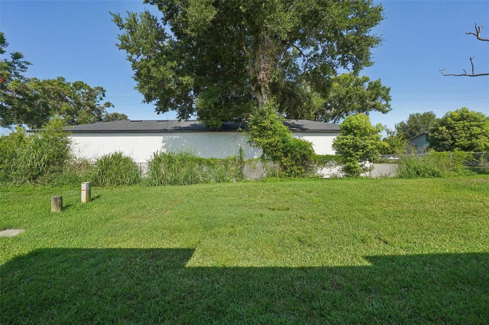View from the back door