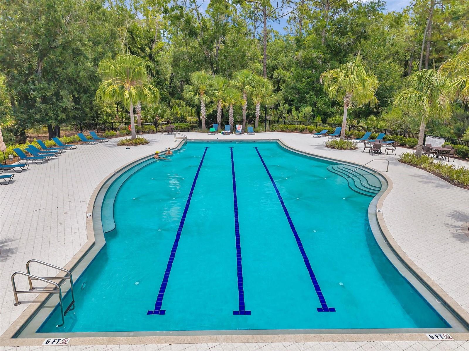 Lap Pool
