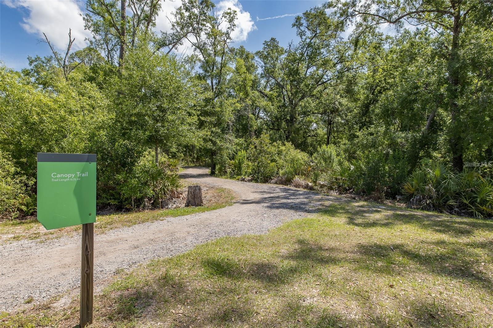 Walking Trails