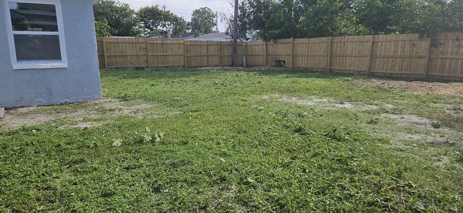 Backyard