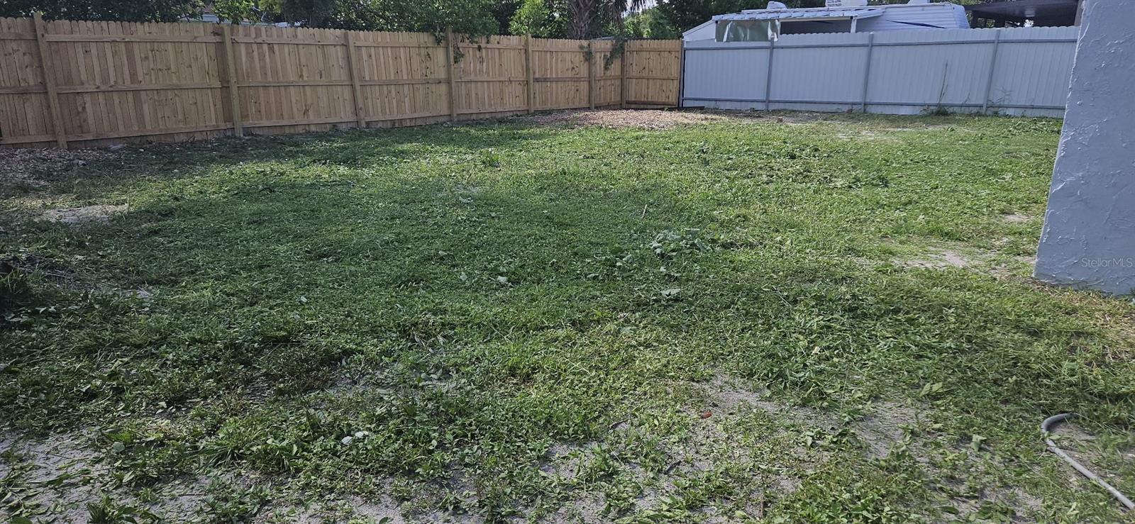 Backyard