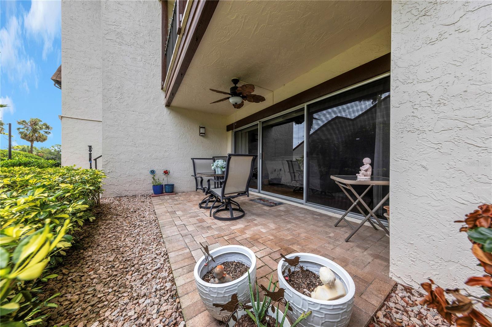 Rear Patio