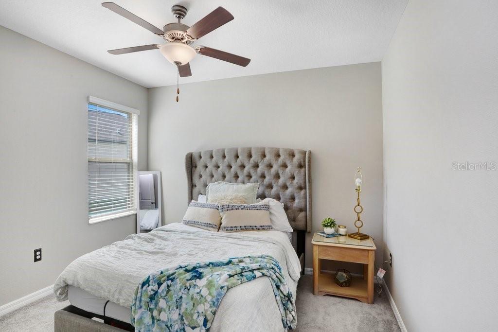 downstairs bedroom