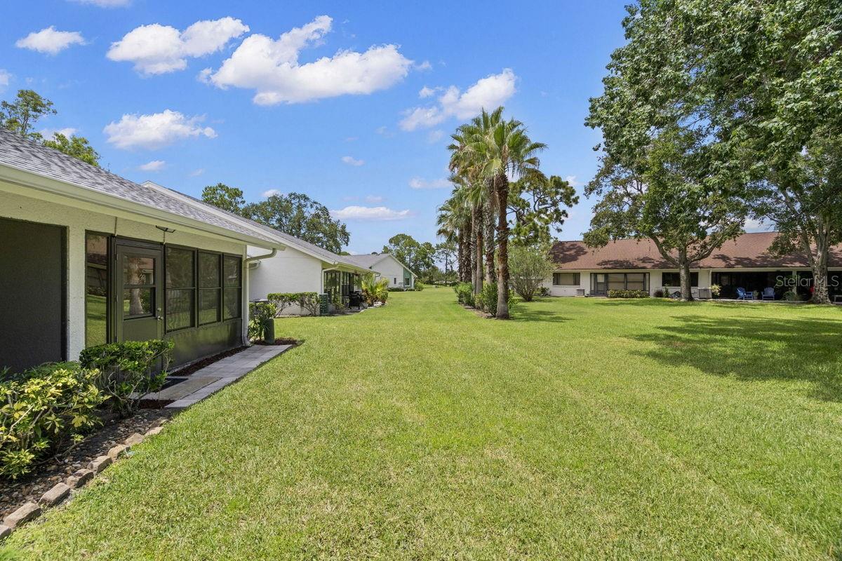 Tropical Landscaping