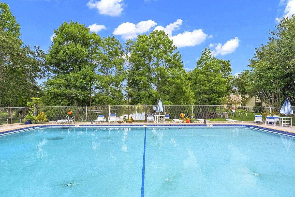 Solar Heated Pool