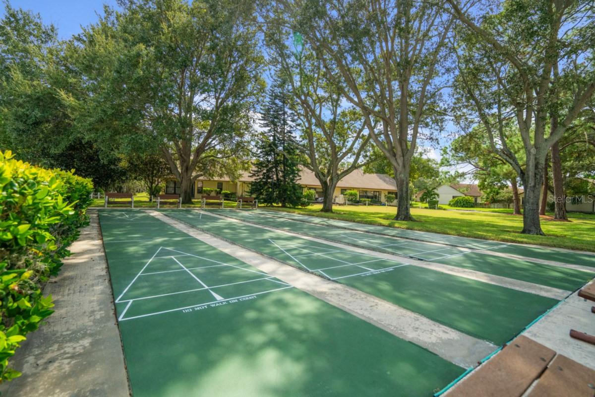 Shuffleboard