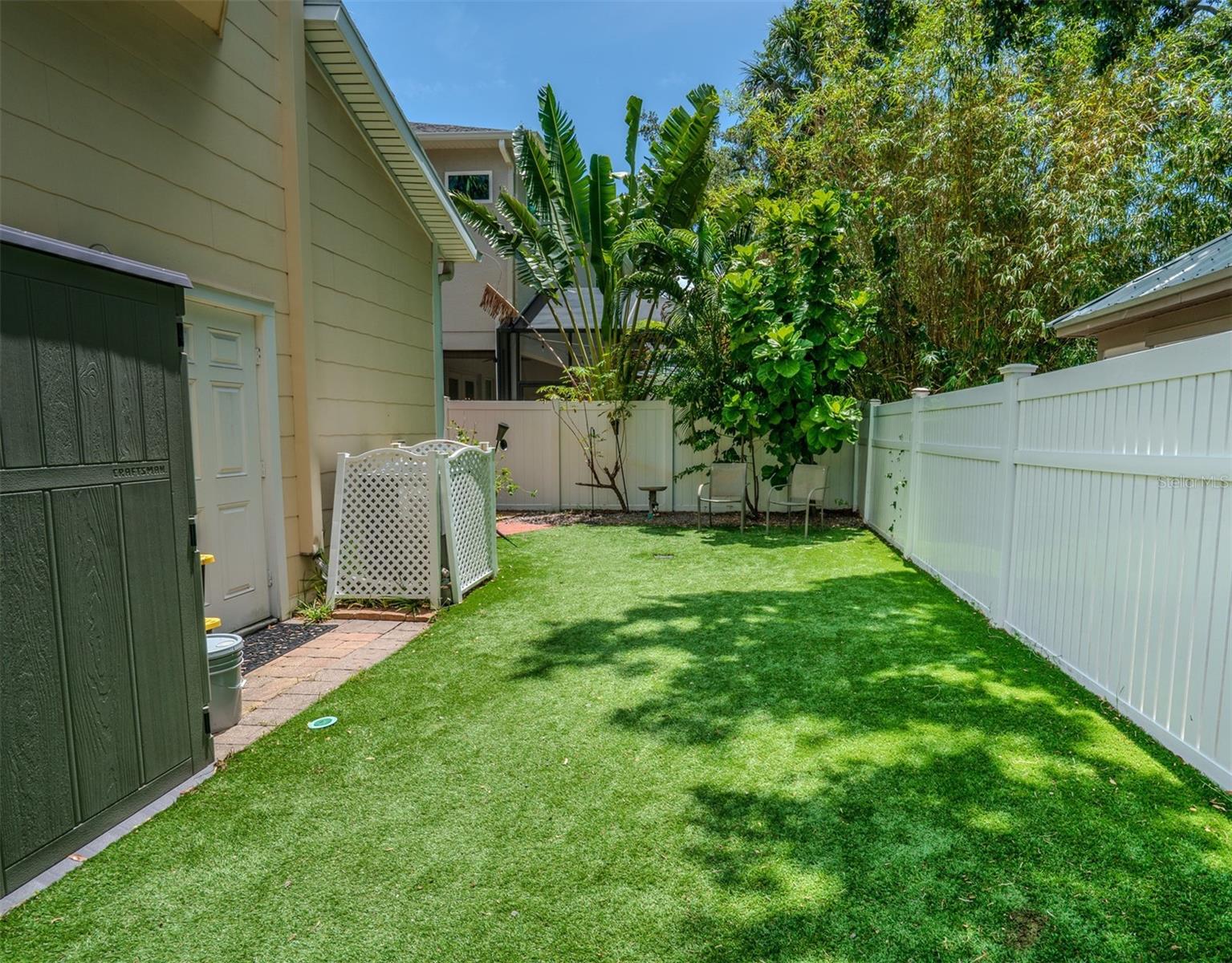 Backyard