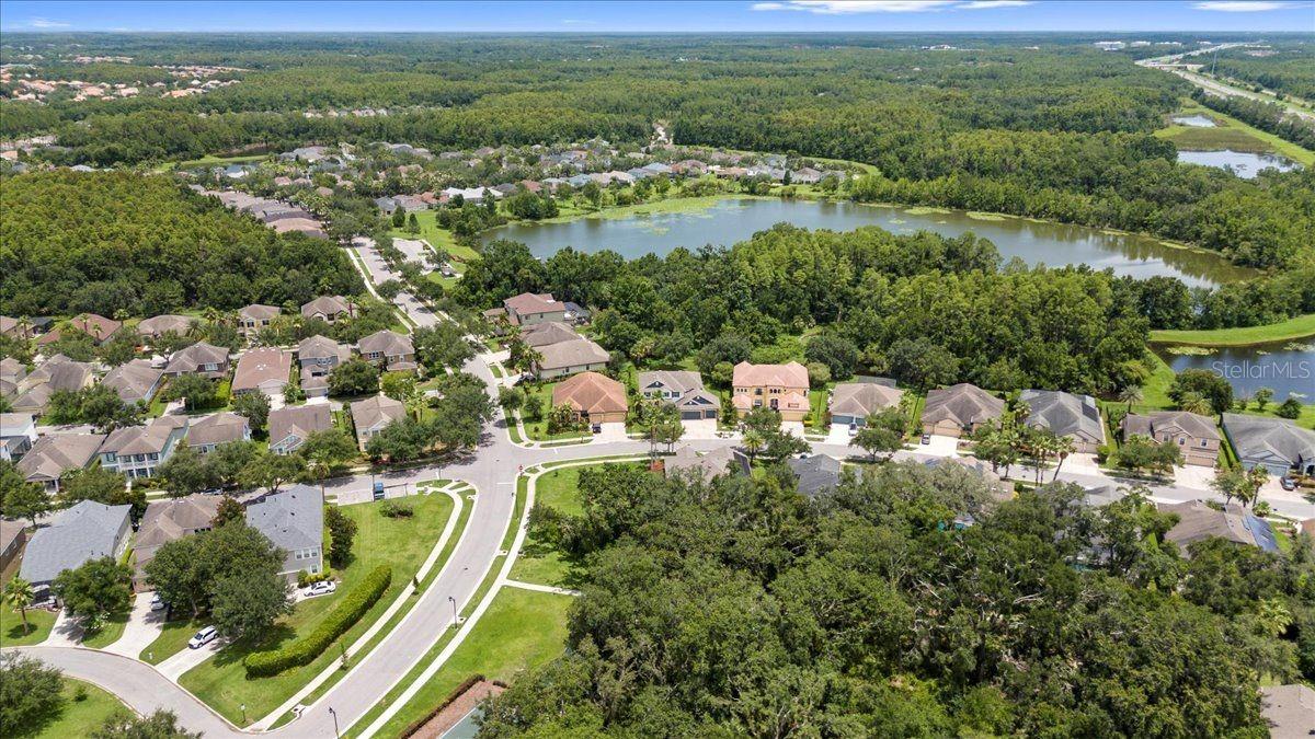 Aerial Of Community