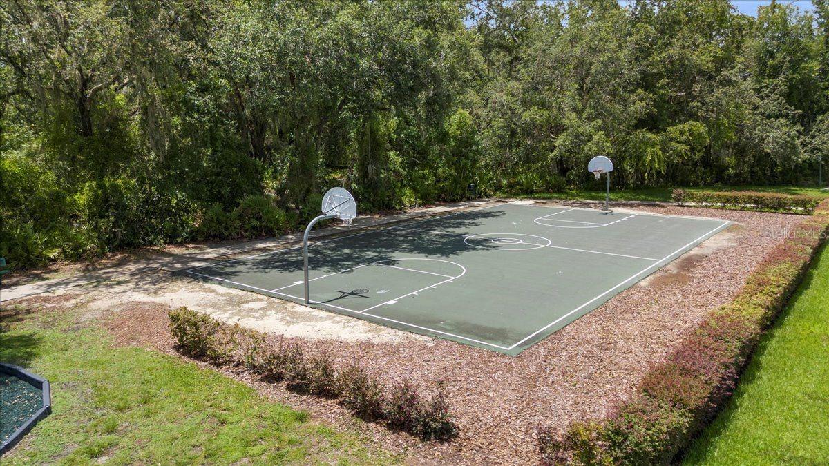 Basketball Courts-Walking distance from property