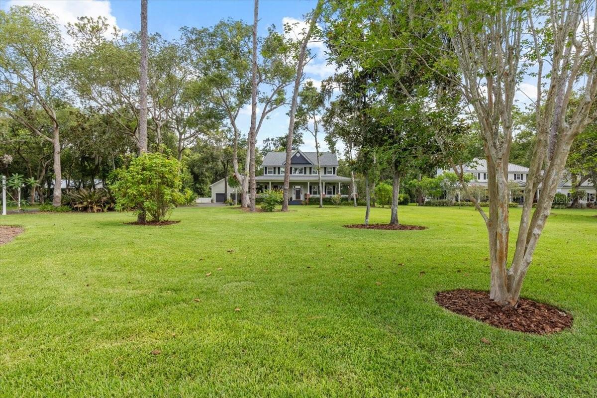 Front yard