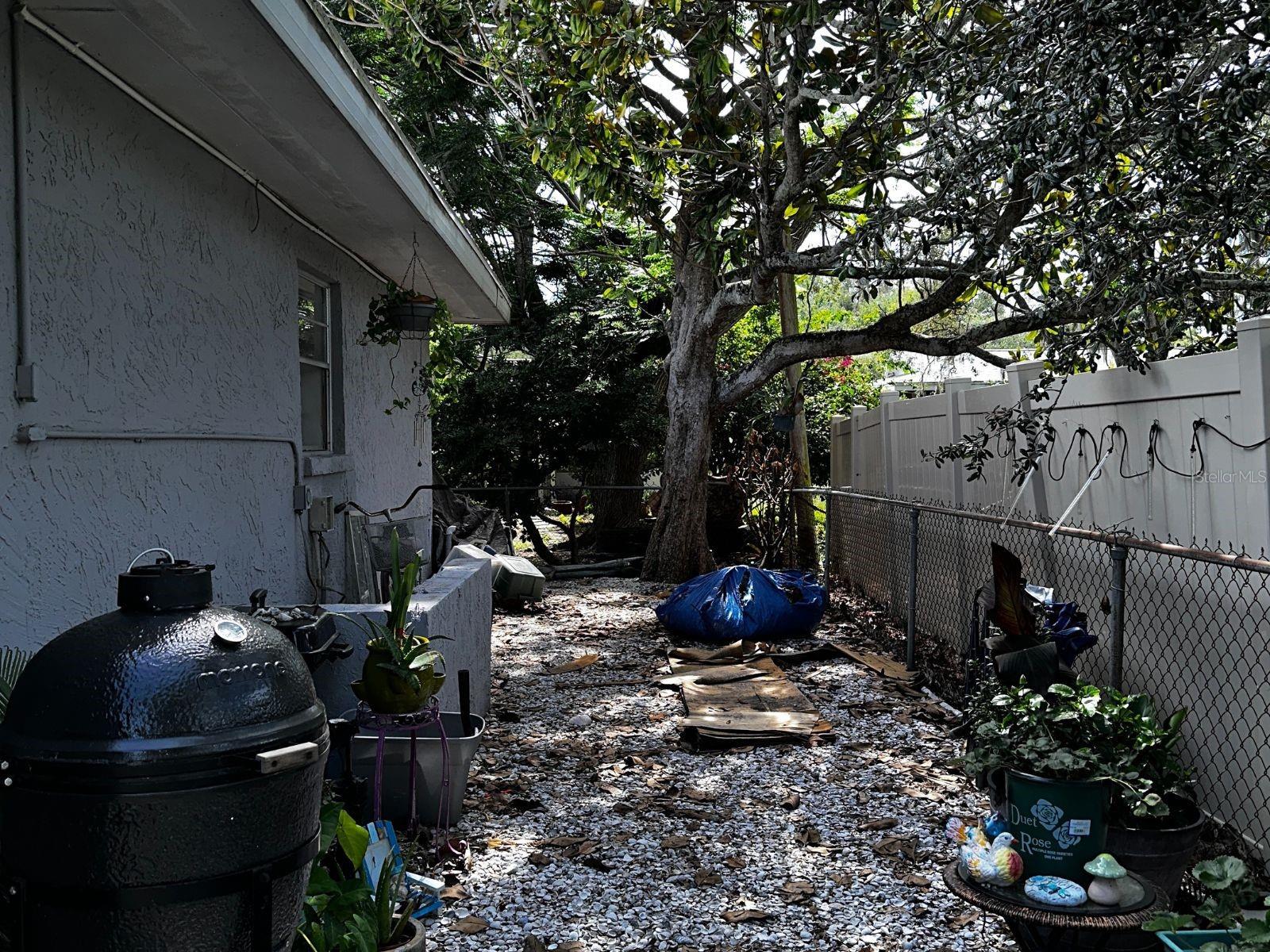 side yard with tree
