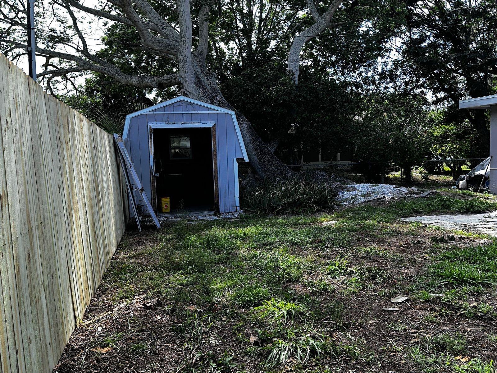 back yard with shed and mature trees