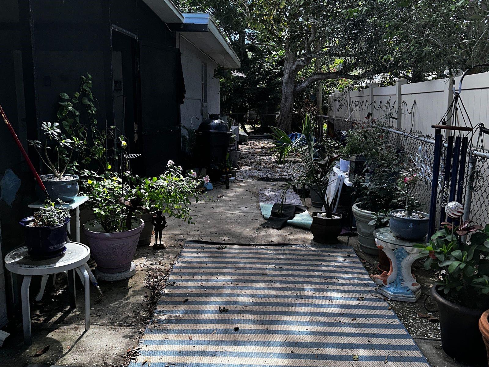 side yard view