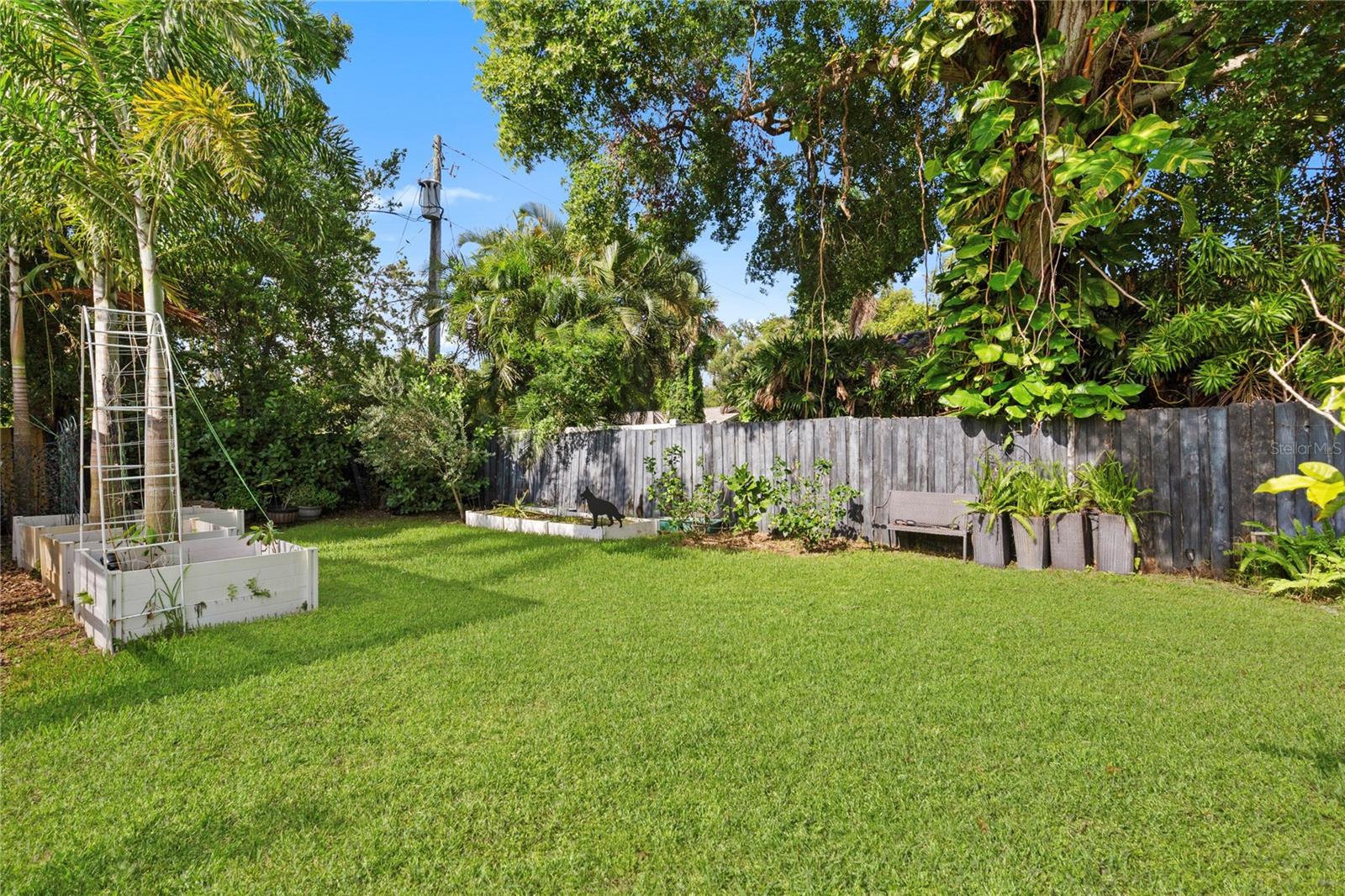 oversized lot