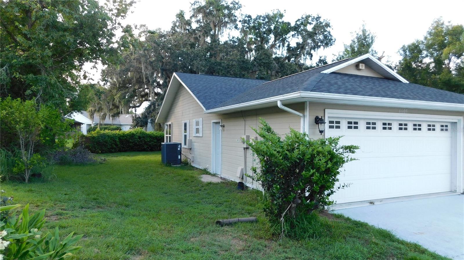 Left side yard