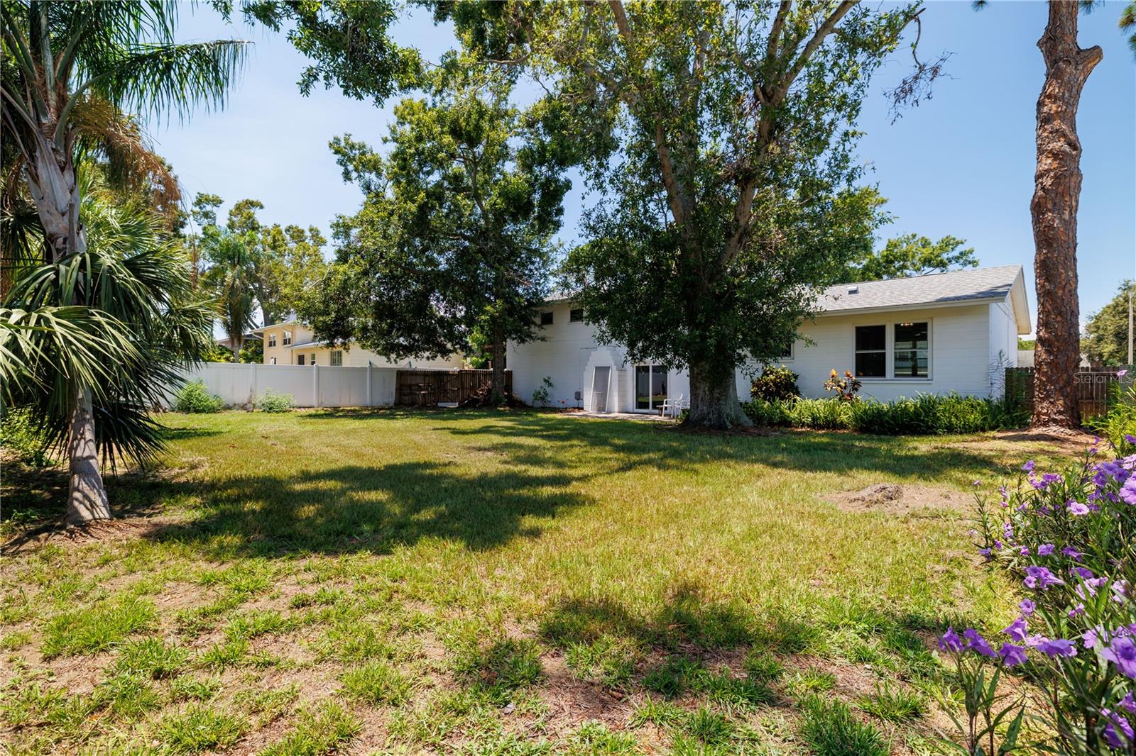 View from the back of yard