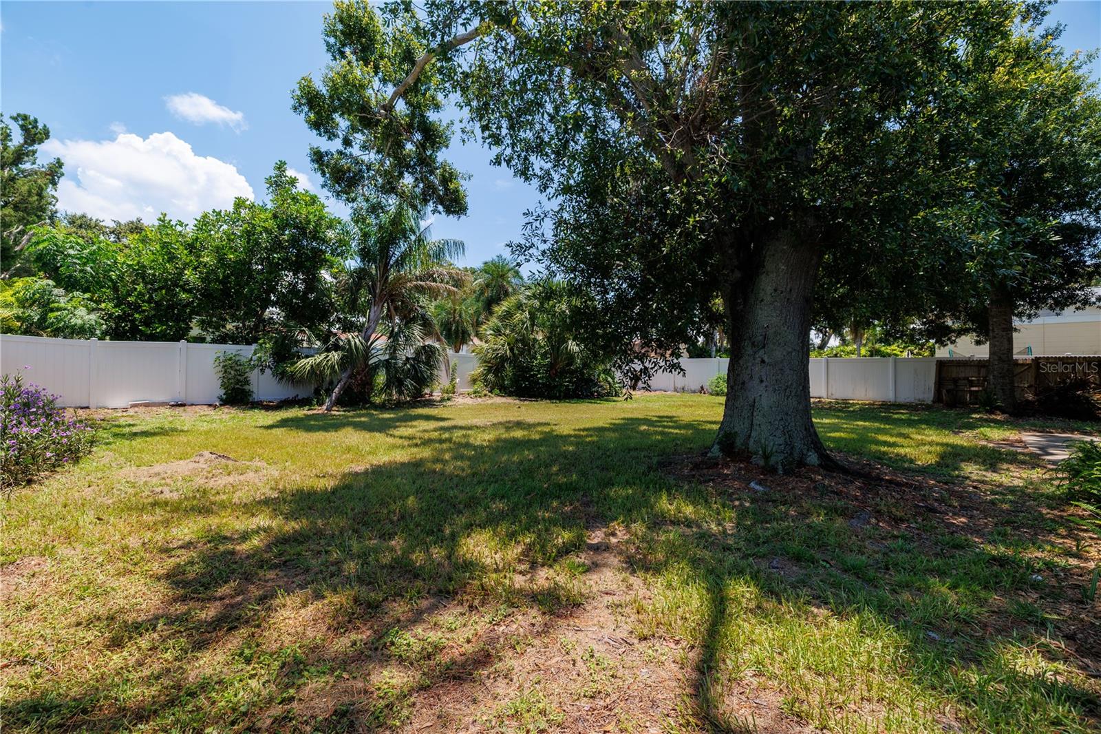 View from far left front side of yard