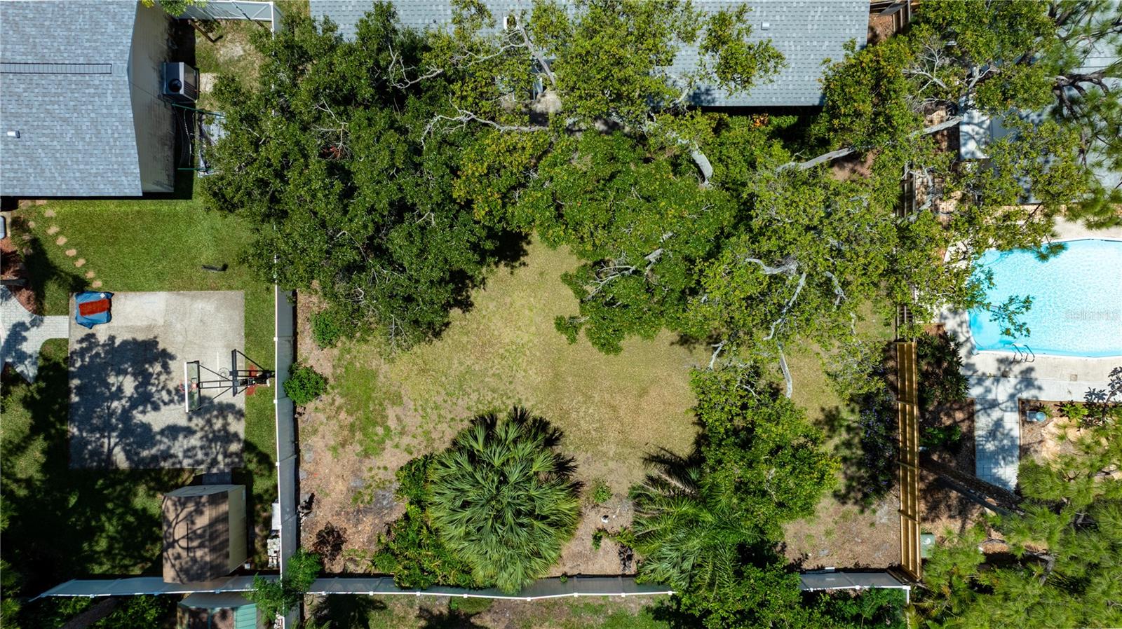 Backyard- HUGE!