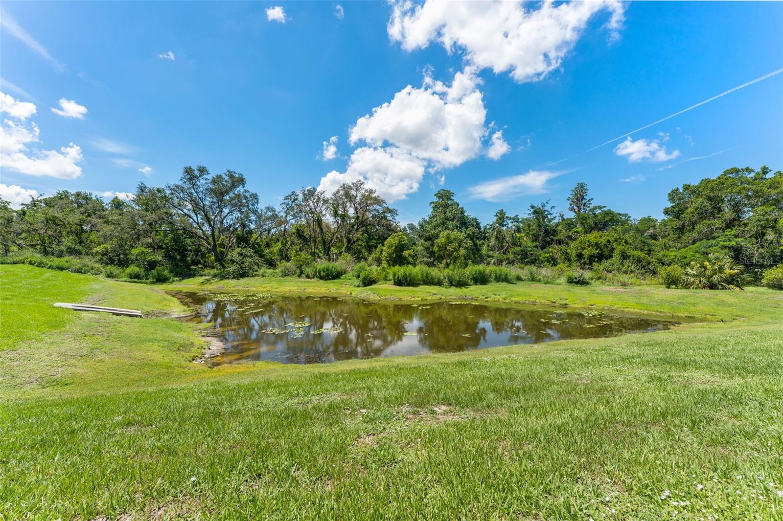 Pond views
