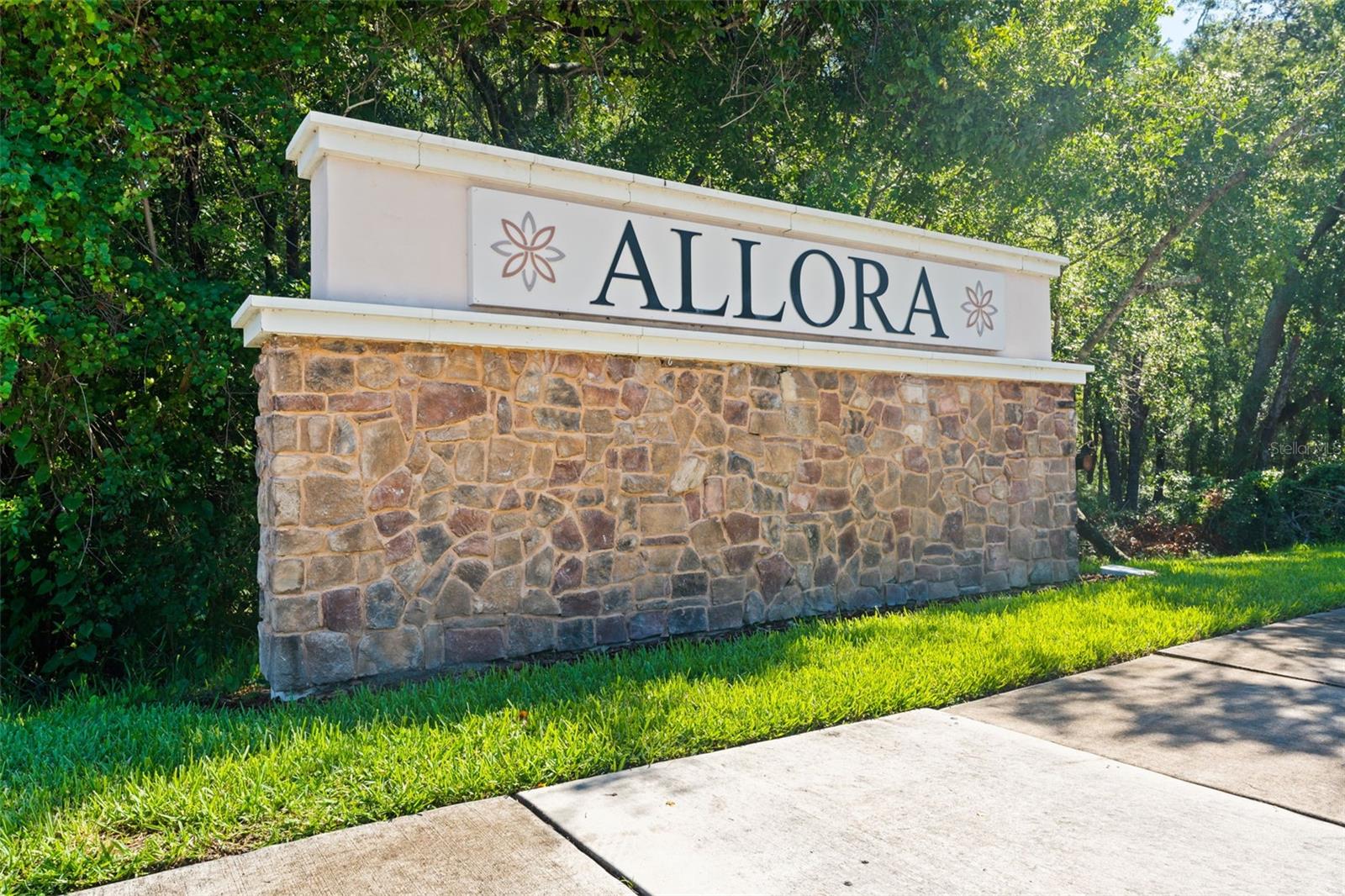 Allora entry