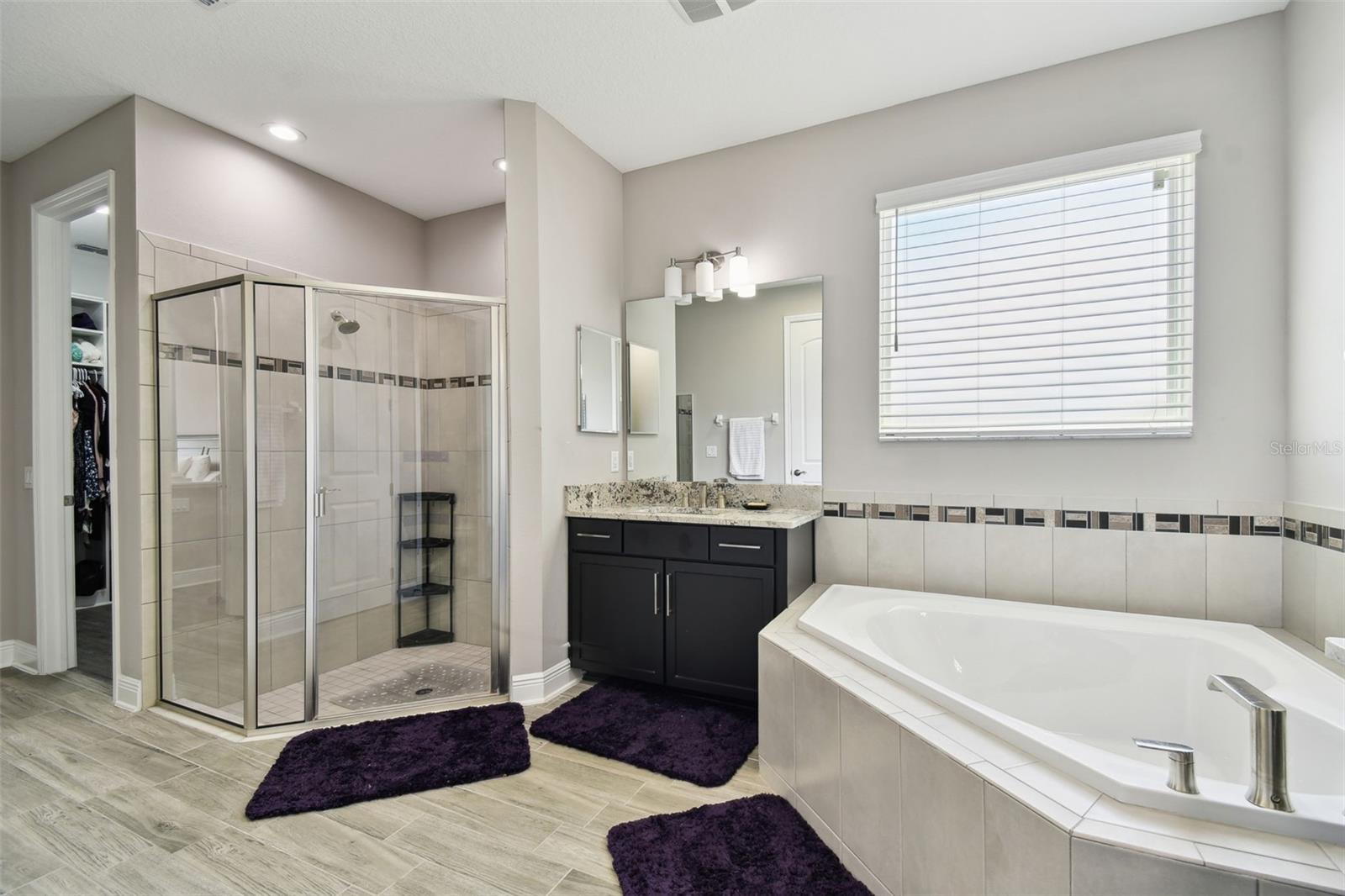garden tub and walk in shower