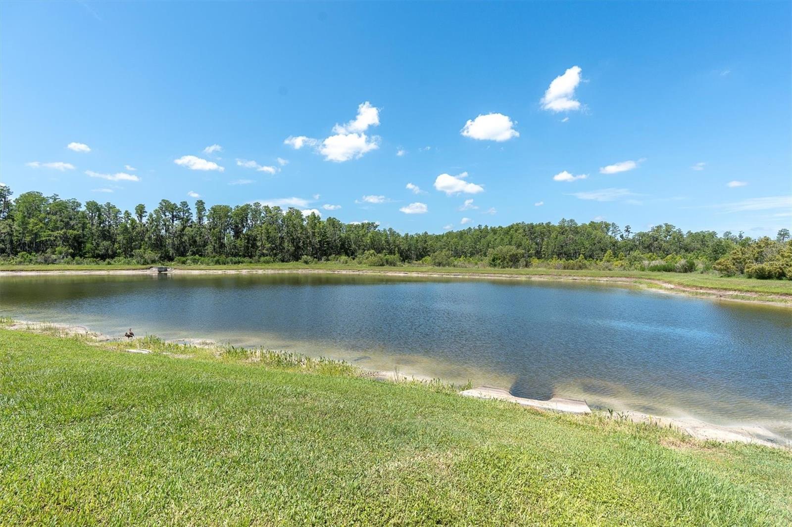 PRIVATE VIEWS OF POND AND TREES