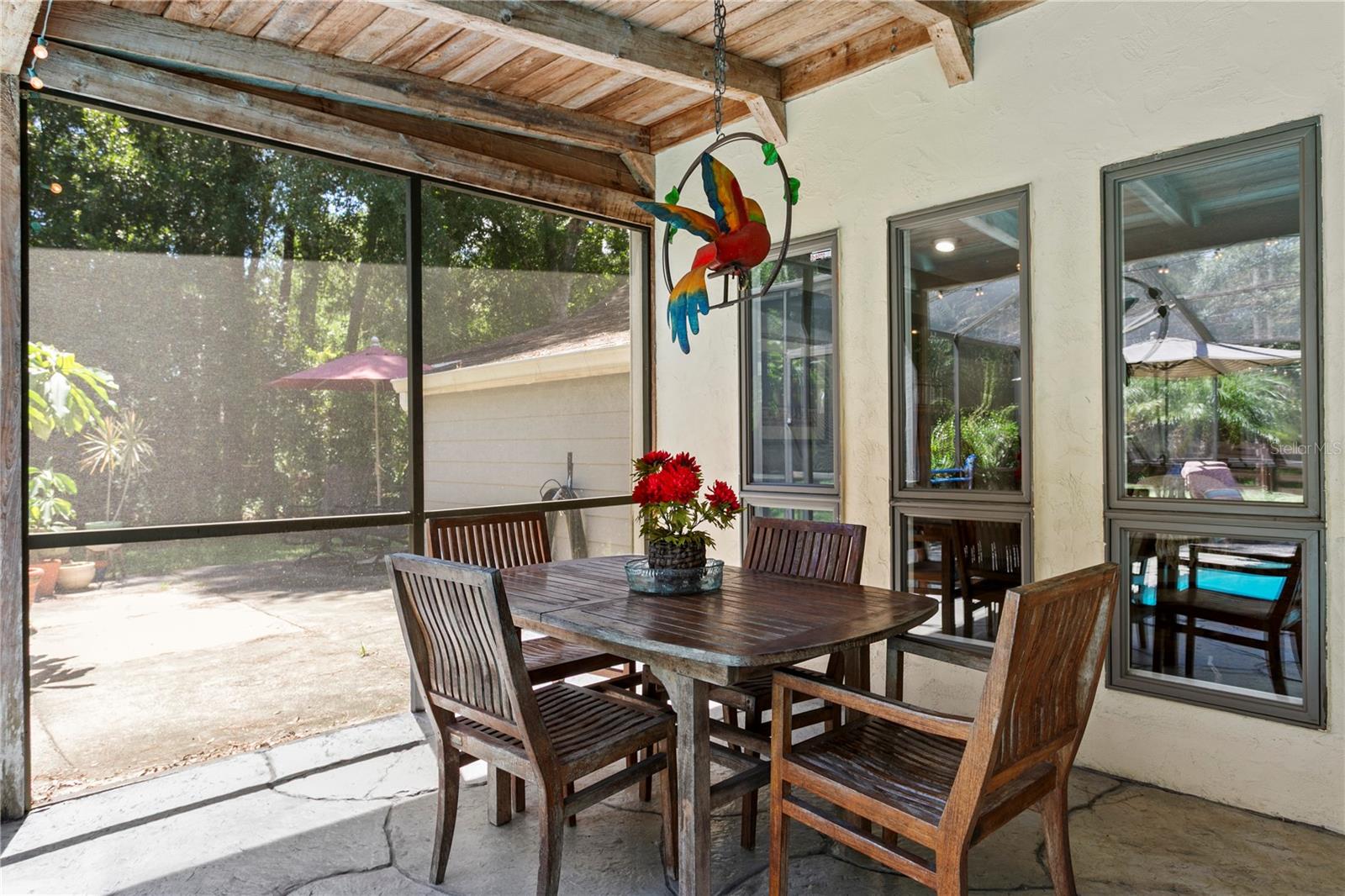 Pool and Patio