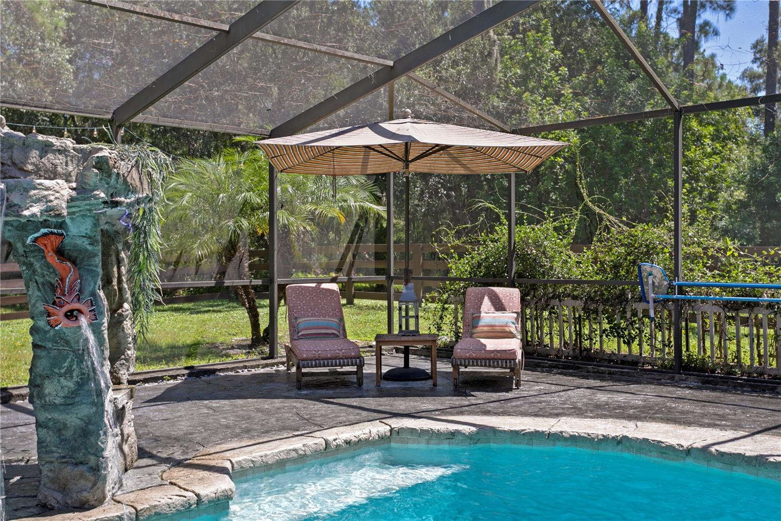 Pool and Patio
